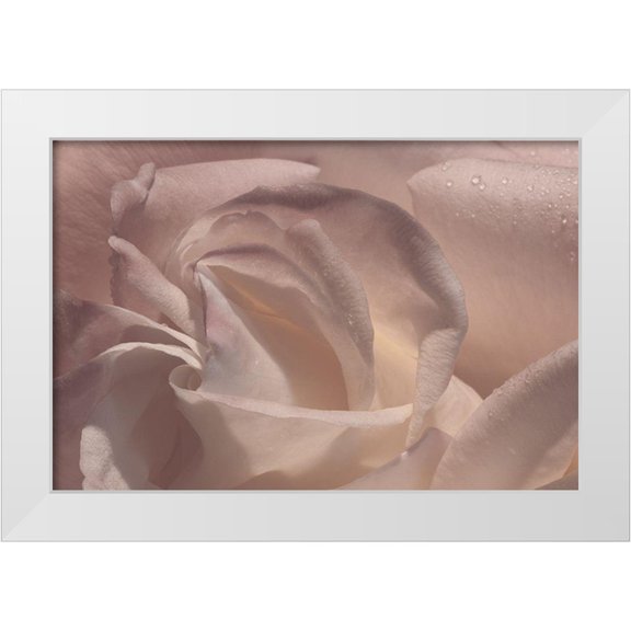 Crane, Rita 24x17 White Modern Wood Framed Museum Art Print Titled - Heart of a Rose V