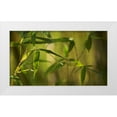thumbnail image 1 of Crane, Rita 32x20 White Modern Wood Framed Museum Art Print Titled - Bamboo Afternoon XII, 1 of 4
