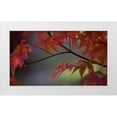 thumbnail image 1 of Crane, Rita 32x20 White Modern Wood Framed Museum Art Print Titled - Sunlight Maple II, 1 of 4