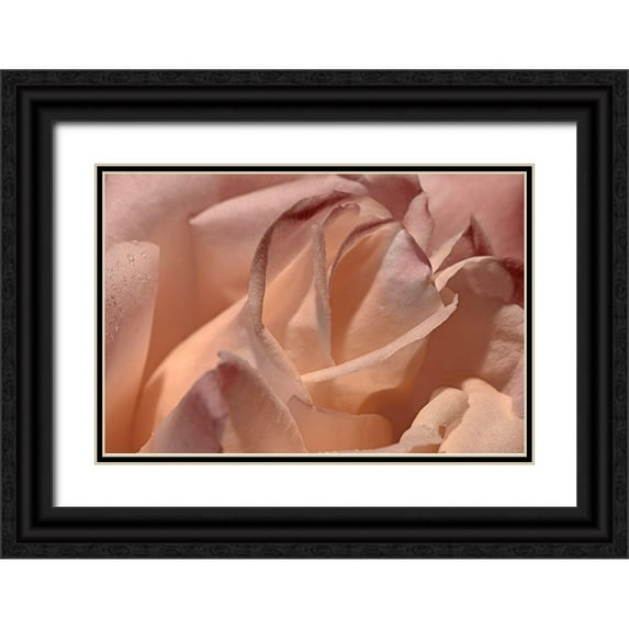 Crane, Rita 32x23 Black Ornate Wood Framed with Double Matting Museum Art Print Titled - Heart of a Rose X