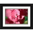 thumbnail image 1 of Crane, Rita 32x23 Black Ornate Wood Framed with Double Matting Museum Art Print Titled - Pink Hydrangeas I, 1 of 4