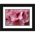 thumbnail image 1 of Crane, Rita 32x23 Black Ornate Wood Framed with Double Matting Museum Art Print Titled - Pink Rhododendron II, 1 of 4