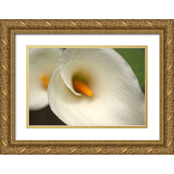 Crane, Rita 32x23 Gold Ornate Wood Framed with Double Matting Museum Art Print Titled - Calla Lilies VI