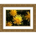 thumbnail image 1 of Crane, Rita 32x23 Gold Ornate Wood Framed with Double Matting Museum Art Print Titled - Celebration I, 1 of 4