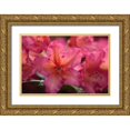 thumbnail image 1 of Crane, Rita 32x23 Gold Ornate Wood Framed with Double Matting Museum Art Print Titled - Exotic Rhodies III, 1 of 4