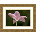 thumbnail image 1 of Crane, Rita 32x23 Gold Ornate Wood Framed with Double Matting Museum Art Print Titled - Lily I, 1 of 4