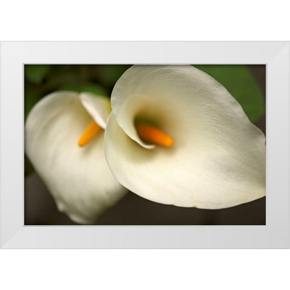 Crane, Rita 32x23 White Modern Wood Framed Museum Art Print Titled - Calla Lilies III