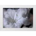 thumbnail image 1 of Crane, Rita 32x23 White Modern Wood Framed Museum Art Print Titled - Delicate Blossoms I, 1 of 4