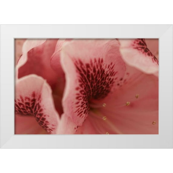 Crane, Rita 32x23 White Modern Wood Framed Museum Art Print Titled - Tender Petals II