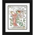 thumbnail image 1 of Crane, Walter 20x24 Black Ornate Wood Framed with Double Matting Museum Art Print Titled - Shakespeares Garden III (Rose), 1 of 4