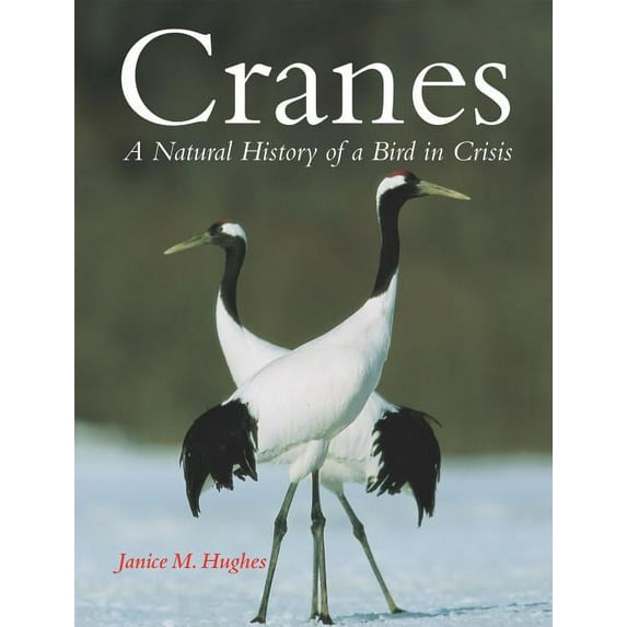 Cranes: A Natural History of a Bird in Crisis (Hardcover)