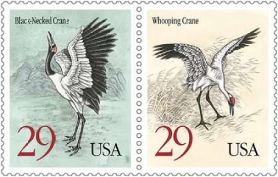 Cranes Canvas Art - US POSTAL SERVICE (24 x 36)