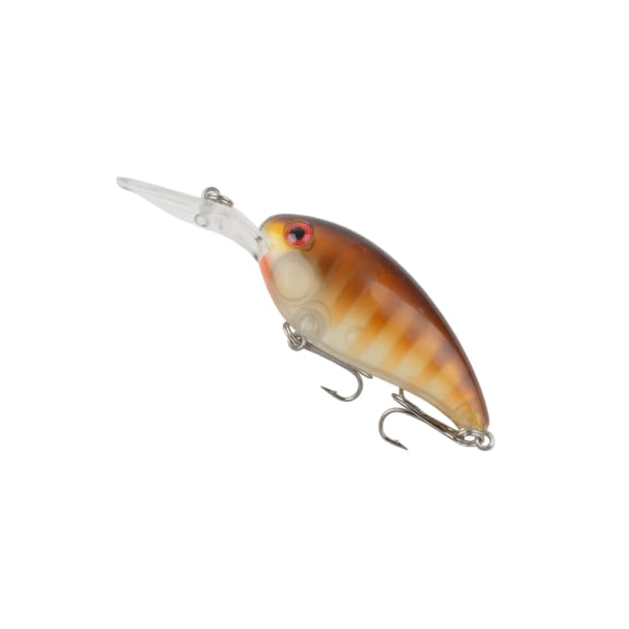 Crankbait Fishing Lures with Holographic Laser Finish and Diving Lip, Versatile Freshwater Fishing Lures for Bass and Trout, Angler Gift Set of 2 Realistic Swimbait Fishing Lures