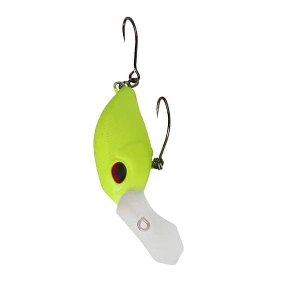 Crankbait Minnows Attract Basses Trouts in Rivers Lakes Easy Casting Beginner Friendly