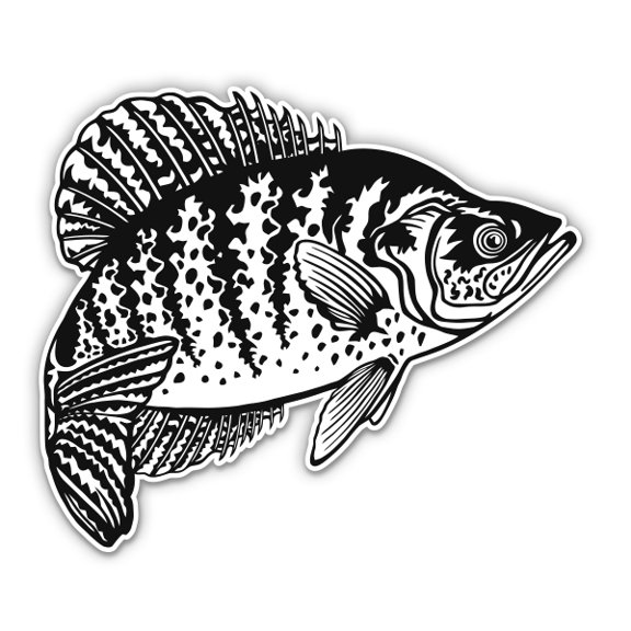 Crappie Fish Black and White - 5" Vinyl Sticker - For Car Laptop I-Pad - Waterproof Decal