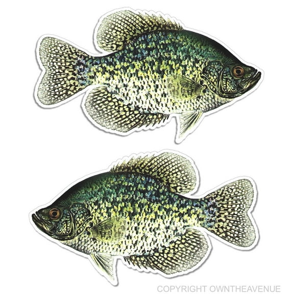 Crappie Sticker Decal Fishing Boat RV Car Truck Camper Trailer - 2 Pack