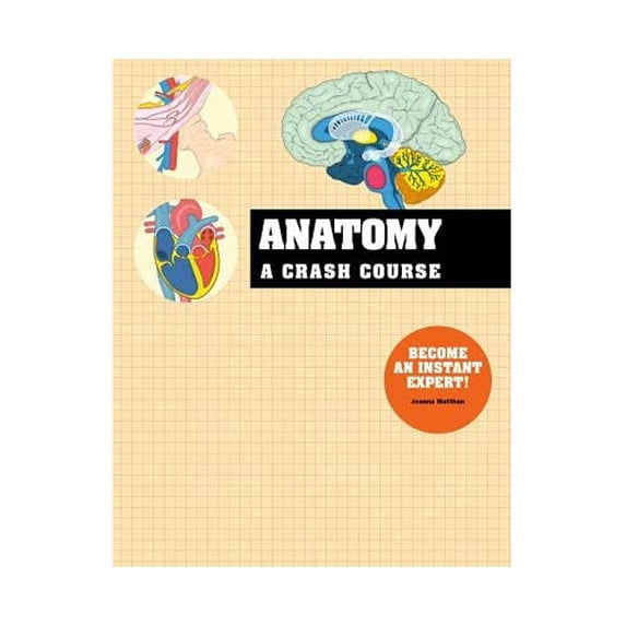Pre-Owned Crash Course: Anatomy Paperback