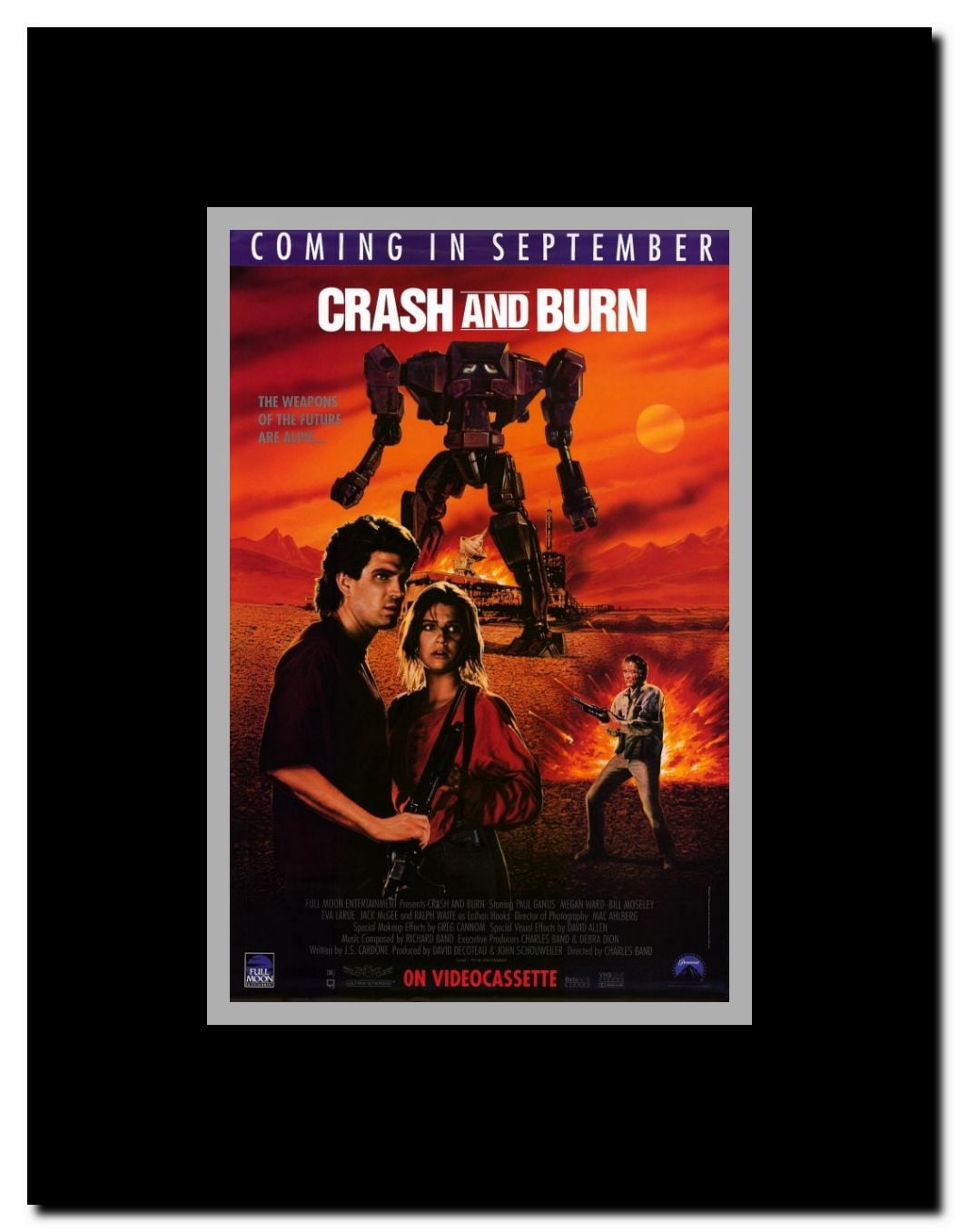 Crash and Burn Framed Movie Poster