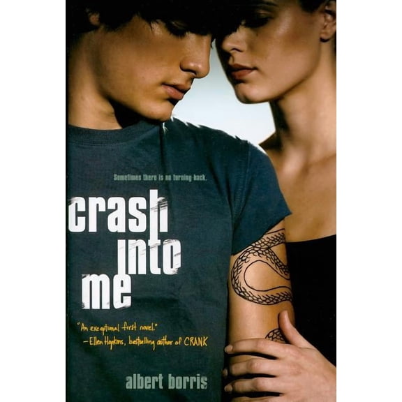 Crash into Me (Hardcover)