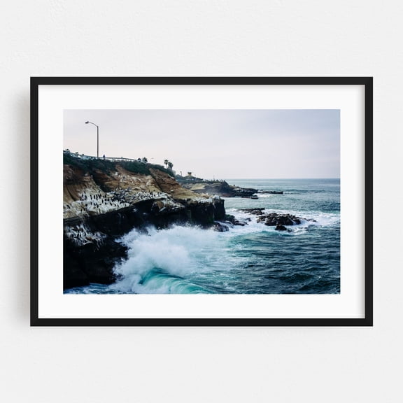 Crashing, La Jolla - La Jolla California Photography Coast Waves Ocean Bird Coastal Nature Landscape Black Framed Wall Art Print 5 x 7 inches