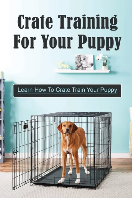 Potty Training When Should I Stop Crating My Dog Potty Training
