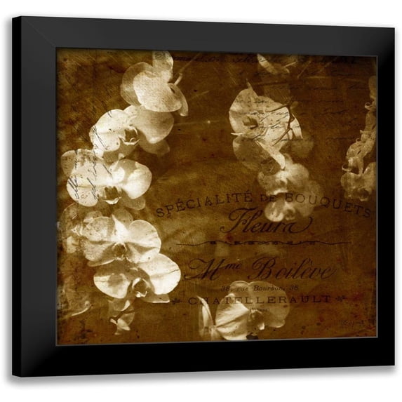 Craven, Katrina 12x12 Black Modern Framed Museum Art Print Titled - Orchid
