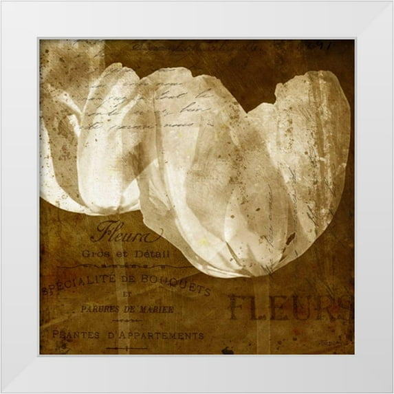 Craven, Katrina 12x12 White Modern Wood Framed Museum Art Print Titled - Tulip