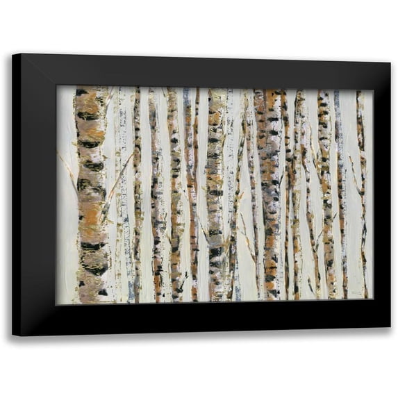 Craven, Katrina 14x12 Black Modern Framed Museum Art Print Titled - Sparkle Birch