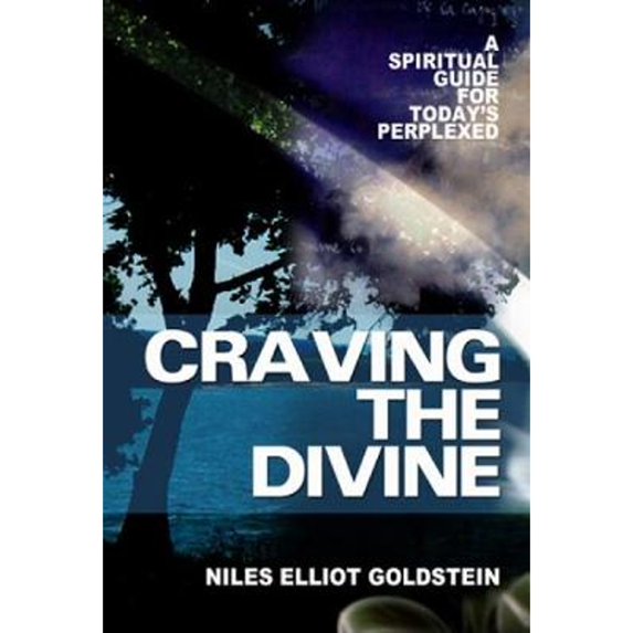Pre-Owned Craving the Divine: A Spiritual Guide for Today's Perplexed (Paperback) 1587680432 9781587680434