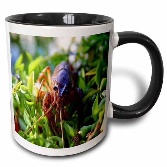 3drose, Crawfish, 11oz Two-tone Black Mug