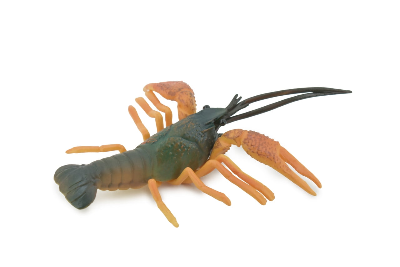 Crawfish, Crayfish, Museum Quality, Hand Painted, Rubber Crustaceans