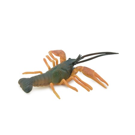 Crawfish, Crayfish, Museum Quality, Hand Painted, Rubber Crustaceans, Educational, Realistic Toy, Figure, Model, Replica, Kids, Lifelike, Gift, 7" CH476 BB153