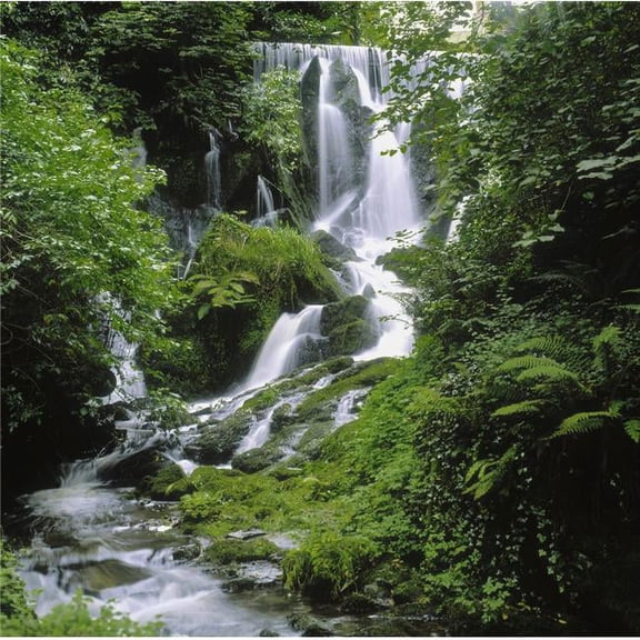 Crawfordsburn Country Park Co Down Ireland - Waterfall Poster Print by The Irish Image Collection, 24 x 24 - Large