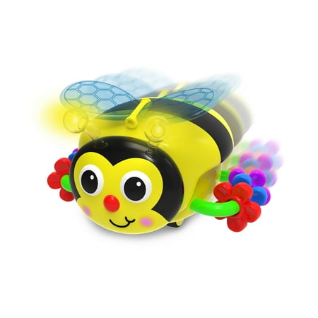 Crawl About Bee
