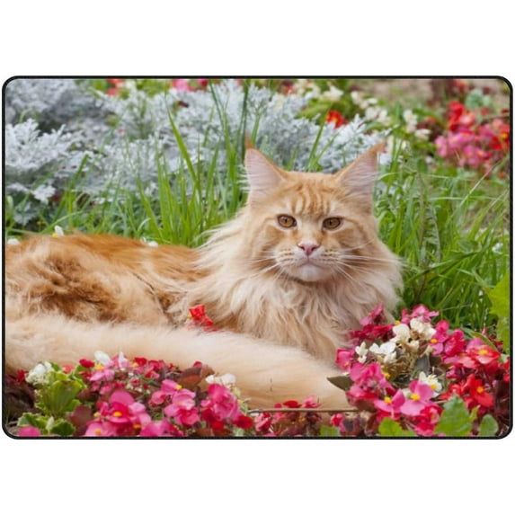 Crawling Indoor Carpet Play Mat The Maine Coon Flower for Living Room Bedroom Educational Nursery Floor Mat Area Rugs 72x48inch