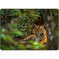 thumbnail image 1 of Crawling Indoor Carpet Play Mat Tiger Wild Animal for Living Room Bedroom Educational Nursery Floor Mat Area Rugs 63x48in, 1 of 6