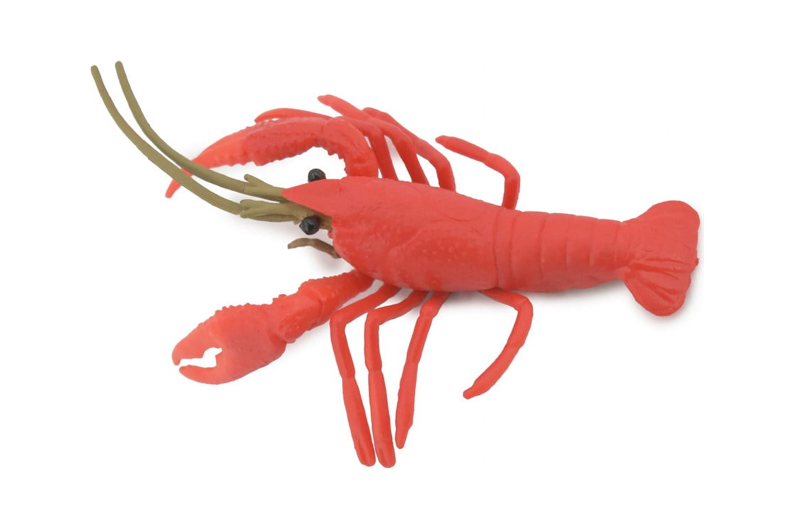 Crayfish, Crawfish, Crawdads, High Quality, Hand Painted, Rubber