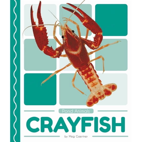 Crayfish (Paperback)