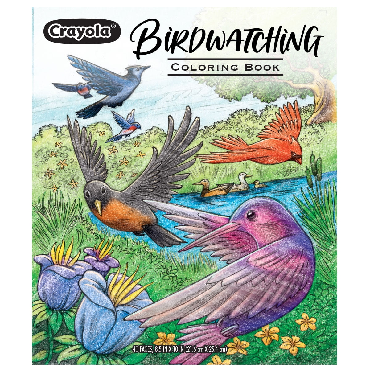 Crayola Bird Coloring Book, 40 Premium Birdwatching Adult Coloring Pages