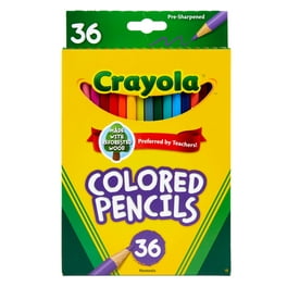 Crayola 115pc Imagination Art Set with Case