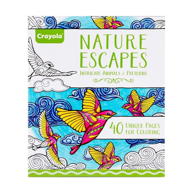 Crayola Whimsical Escapes Adult Coloring Book - 80 Page Relaxing Art Activity With Terry Runyan Designs