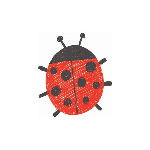 Crayon Drawn Red & Black Lady Bug Themed Birthday Edible Icing Image Cake Topper, by Tnct.