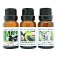 thumbnail image 1 of Crazy Candles 3 Bottles Set, 1 Bamboo, 1 Bamboo & Green Tea, 1 Eucalyptus 1/2 fl oz Each (15ml) Premium Grade Scented Fragrance Oils (Made in USA), 1 of 1