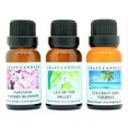 thumbnail image 1 of Crazy Candles 3 Bottles Set, 1 Japanese Cherry Blossom, 1 Coconut Lime Verbena, 1 Lily of The Valley 1/2 fl oz Each (15ml) Premium Grade Scented Fragrance Oils, 1 of 1