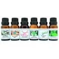 thumbnail image 1 of Crazy Candles 6 Bottle Set, Basil Sage & Mint, Nectarine Mint, Peppermint, Rosemary Mint, Spearmint, Spearmint Eucalyptus 1/2 FL Oz Each (15ml) Premium Grade Scented Fragrance Oil, 1 of 1
