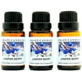 thumbnail image 1 of Crazy Candles Juniper Berry 3 Bottles 1/2 Fl Oz Each (15ml) Premium Grade Scented Fragrance Oil (Dark Green Floral with Spice) Made in USA, 1 of 1