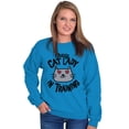 thumbnail image 1 of Crazy Cat Lady in Training Funny Cute Women Crewneck Sweatshirt Brisco Brands 4X, 1 of 6
