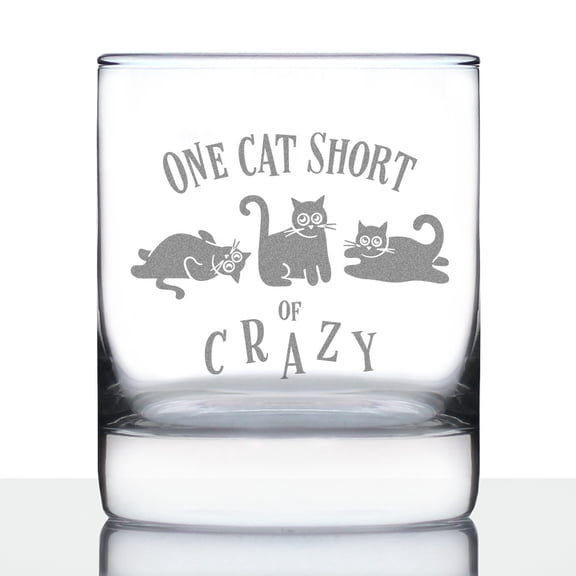 Bevvee Whiskey Rocks Glass 10.25 oz Crazy Cat Cat Lover Gifts Glassware & Drinkware