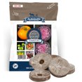thumbnail image 1 of Crazy Color Tomato Collection - 6 Variety Pack - Non-GMO Heirloom Tomato Seeds for a Multicolored Tomato Garden by Sustainable Seed (Collection Only), 1 of 2