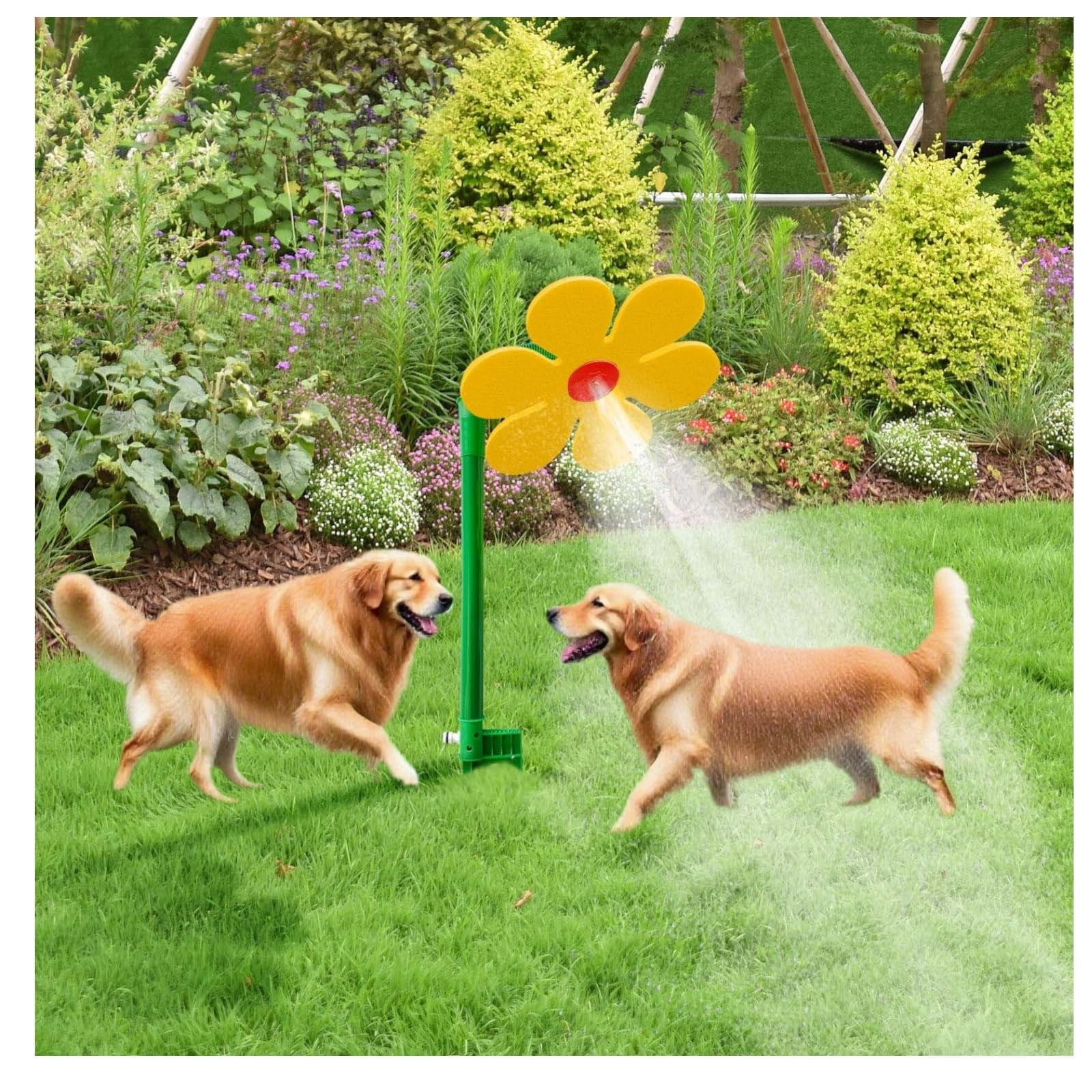 Crazy Daisy Sprinkler Dancing Flower Water Sprinkler 360° Rotating Lawn Irrigation Tool, Fun Outdoor Toy for Garden and Yard with Sturdy Plastic Base